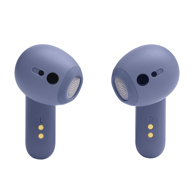 JBL Live Flex