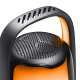 JBL Pulse 6