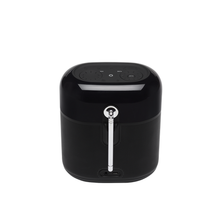 JBL Tuner XL