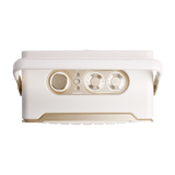 JBL Authentics 300