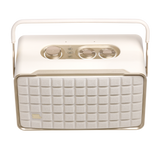JBL Authentics 300